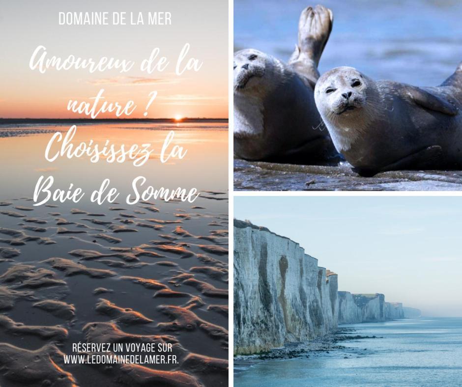 Domaine De La Mer Woignarue المظهر الخارجي الصورة